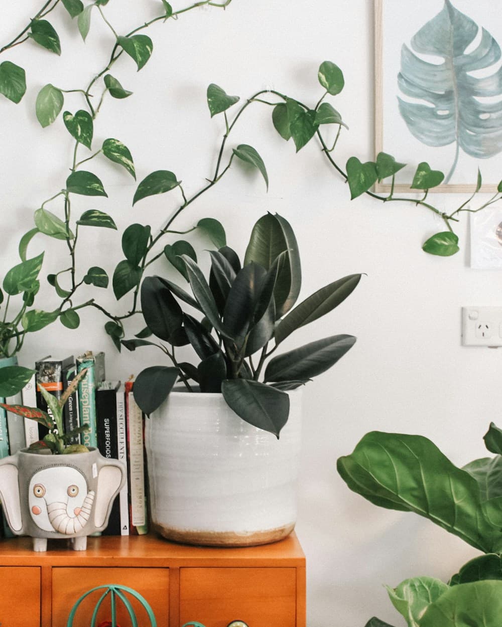 Layered houseplants arranged with books and botanical artwork in a warm interior