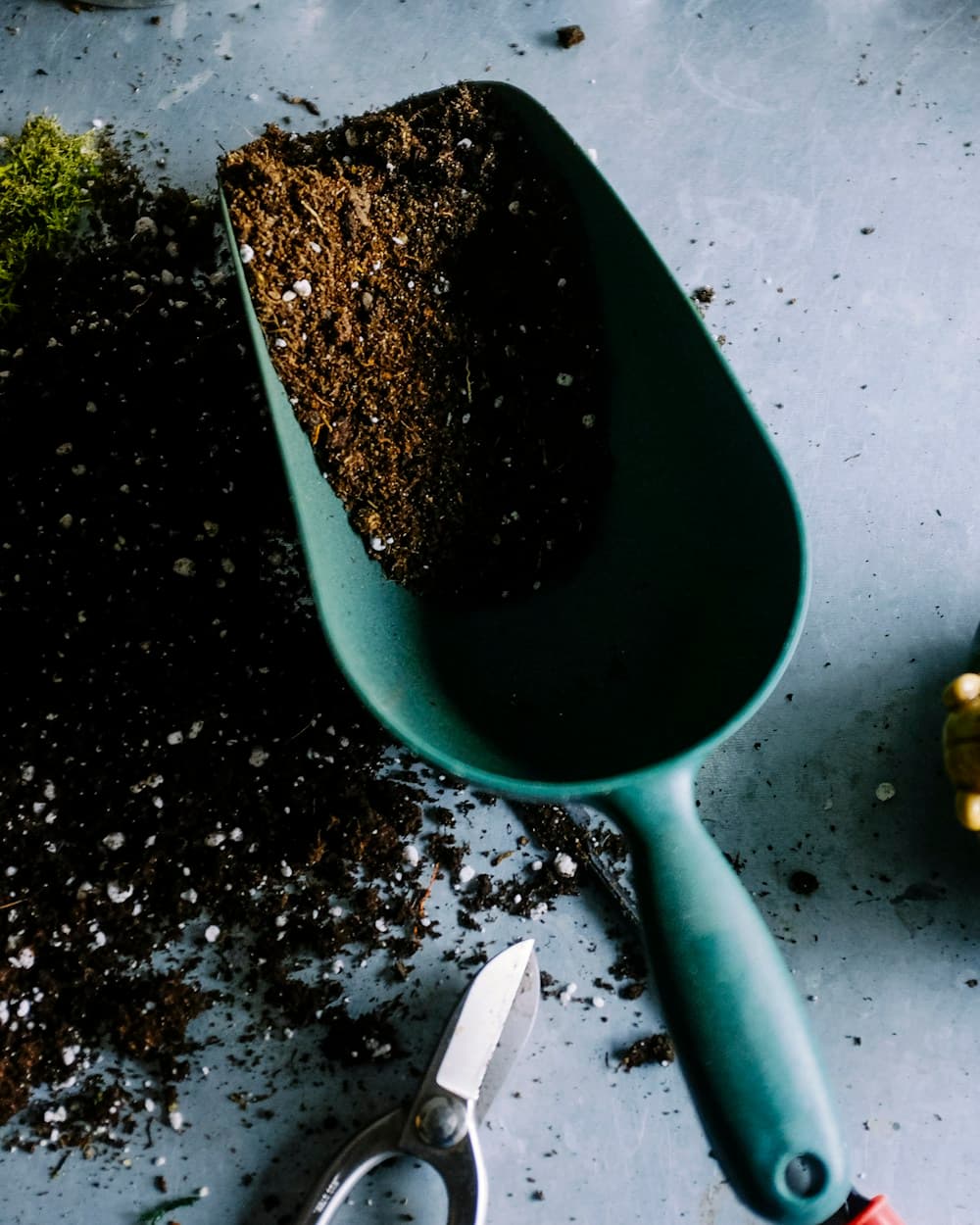 Plant-care tools arranged on a potting work surface